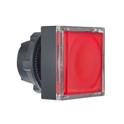 Testa pulsante quadrato luminoso Ø22 - rosso - per inserimento etichetta- per LED universale