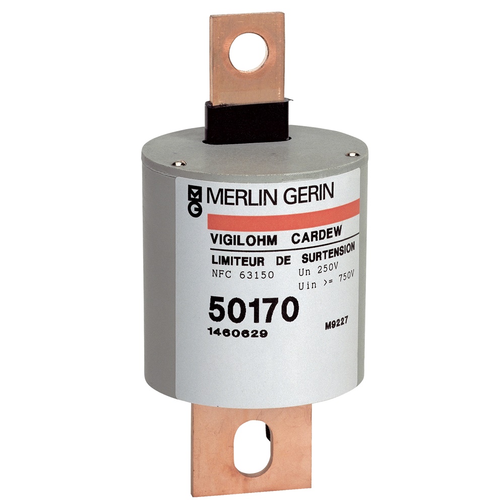 Cartuccia limitatore sovratensione Cardew C660 per reti elettriche IT 660V Vigilohm