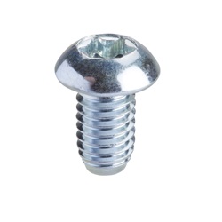 Viti Torx T30 M6 x 10 - set da 50 pezzi
