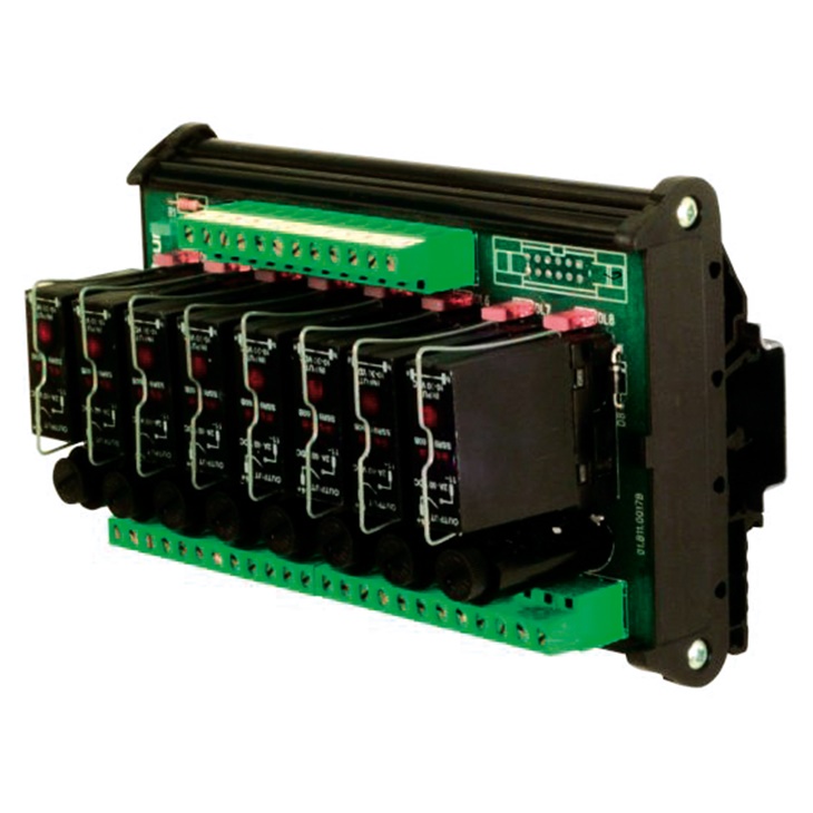 R81S24F        8.OPTO.24V/5-50VDC.+