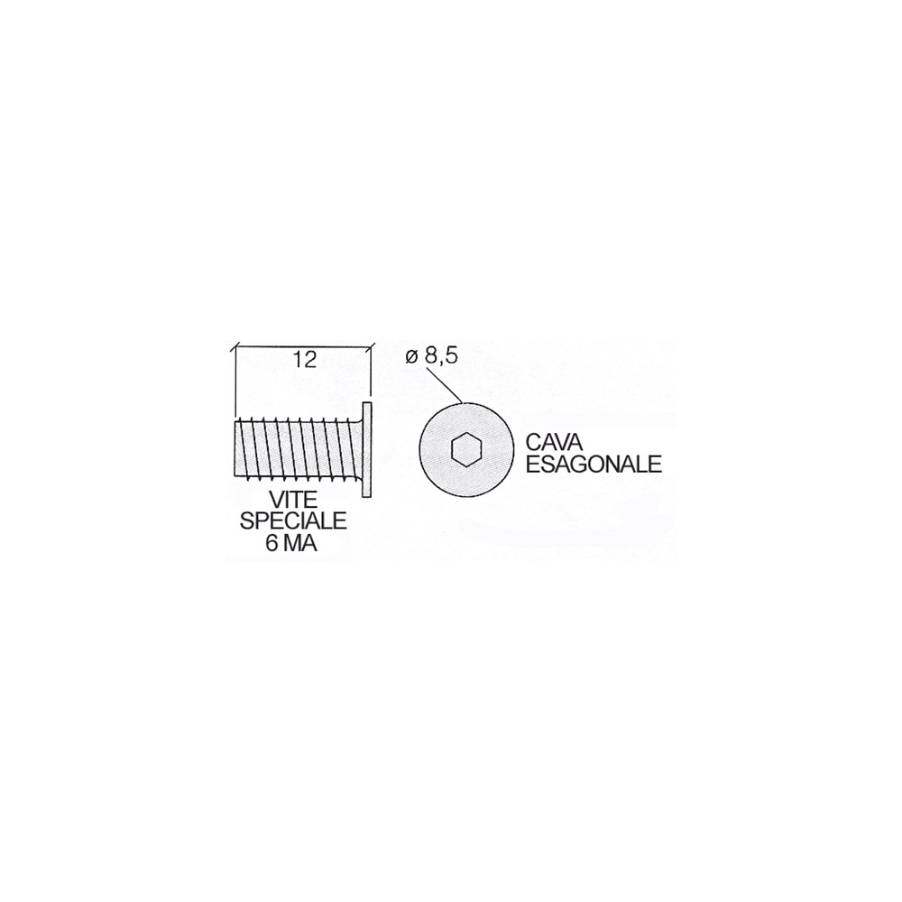 ACI121026 VITI SP 6MA X12