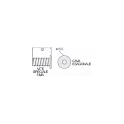 ACI121026 VITI SP 6MA X12