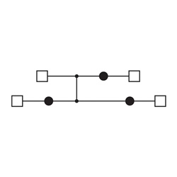 Morsetto a vite 2,5mm² 2-piani interconnessi grigio serie DBC passante