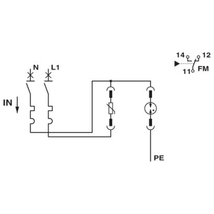 PT-IQ-1X2-24DC-P