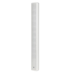 Colonna sonora slim-line due vie CS 3082 compatta bianca per parlato e musica ambienti difficili