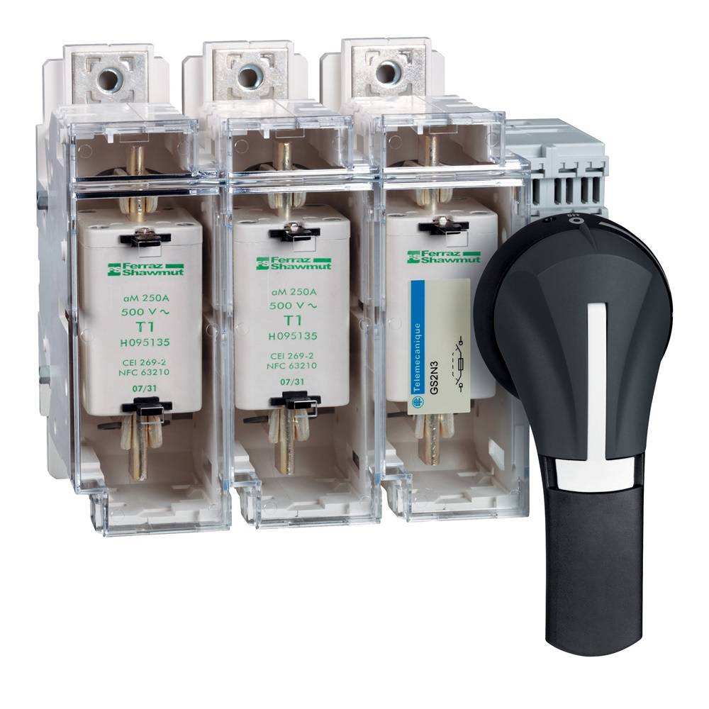Manopola esterna nera TeSys GS2 - per interruttore sezionatore - 100...400 A