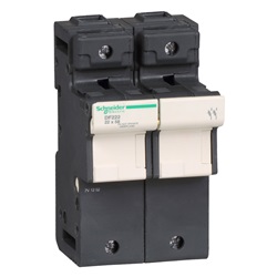 Portafusibile TeSys DF 125A - fusibile 22x58 2P