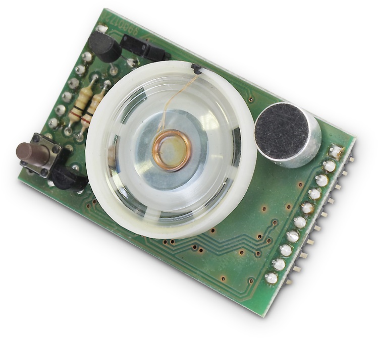 SINTESI VOCALE PER SERIE ETR