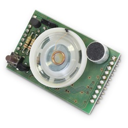 SINTESI VOCALE PER SERIE ETR