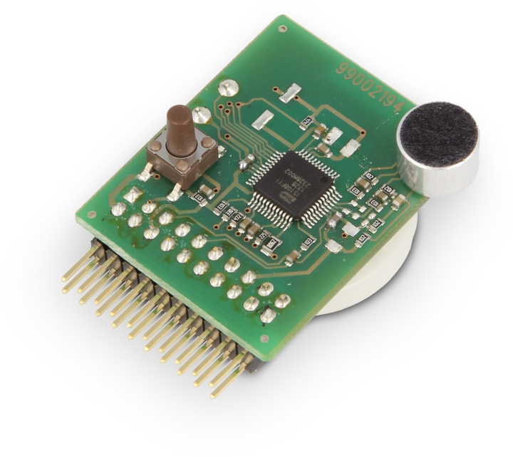 MODULO A SINTESI VOCALE SERIE I FLEXENERGY