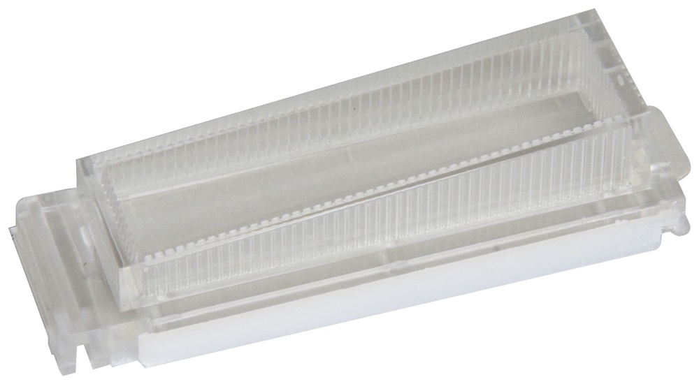 Tasto estern con cartellino targa 2100 