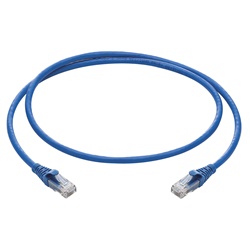 Cordone RJ45 Cat6 U/UTP 1m cavo 4 coppie 24 AWG PVC blu rete dati