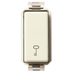 Pulsante 1P NO 10A 250V simbolo chiave per comando elettrico industriale