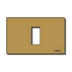 Placca 1 modulo alluminio anodizzato bronzo scatto per scatole incasso rettangolari