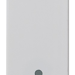 Deviatore 1P 10AX Silver