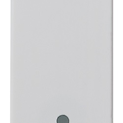 Pulsante 1P NO 10A Silver