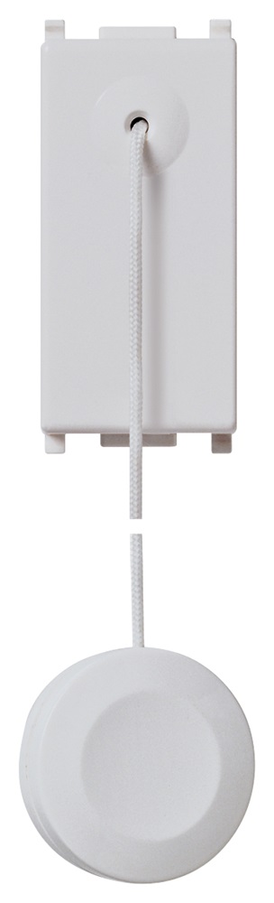 Pulsante 1P NO 10A tirante Silver Plana 