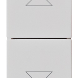 Commutatore 2P 10AX 250V due tasti frecce direzionali posizione OFF centrale Silver uso illuminazione lampade con alimentatore integrato