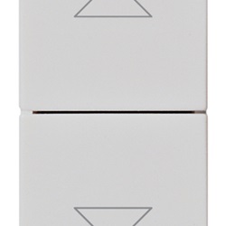 Due pulsanti interbl.1P NO+NO10A Silver Plana 