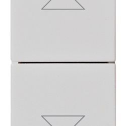 Due pulsanti interbloccati 1P NO+NO 10A 250V Silver con frecce direzionali per comando elettrico