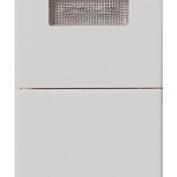 Pulsante 1P NO 10A + spia bianca Silver Plana 