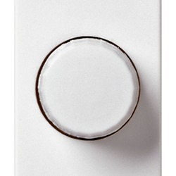 Dimmer 230V 100-500W regolazione potenziometro per lampade incandescenza bianco