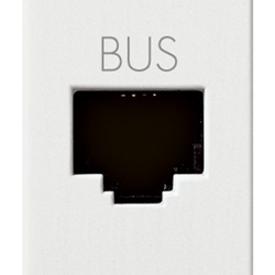 Presa RJ11 speciale per bus morsetti a vite colore bianco