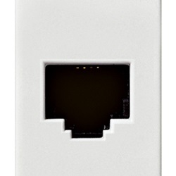 Presa RJ45 Netsafe Cat5e FTP 110 bianco