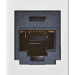 Presa RJ45 Panduit Cat5e UTP 8 contatti morsetti incisione bianco rete dati