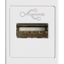 Presa USB standard bianco morsetti vite per collegamento dispositivi elettronici