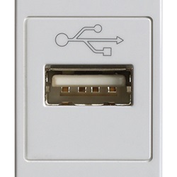 Presa USB Silver Plana 