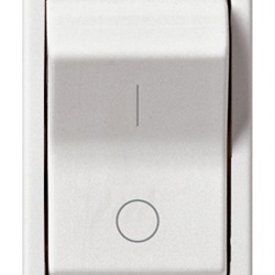 Interruttore MT 1P+N C10 120-230V bianco Plana 