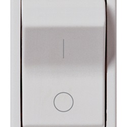 Interruttore MT 1P+N C10 120-230V Silver Plana 