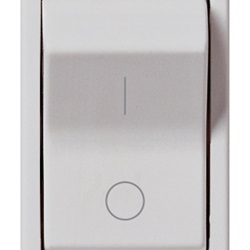 Interruttore MT 1P+N C16 120-230V Silver Plana 