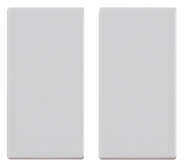 Tasto 1M com. radiofrequenza Silver 2pz Plana 