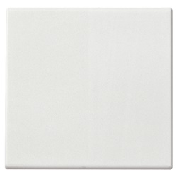 Tasto 2M comando radiofrequenza bianco Plana 