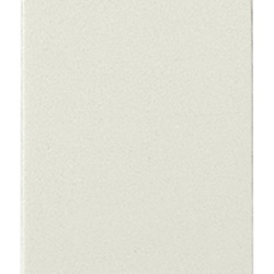 Interruttore 1P 16AX 250V bianco per lampade con alimentatore integrato uso domestico