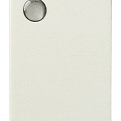 Interruttore 1P 16AX luminoso bianco 250V per segnalazione senza unità integrata