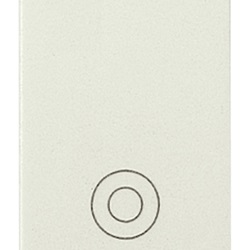 Pulsante 1P NO 10A generico bianco Idea 