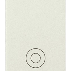 Pulsante 1P NO 10A 250V bianco uso generico comando elettrico