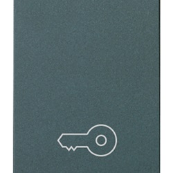 Pulsante 1P NO 10A chiave grigio Idea 