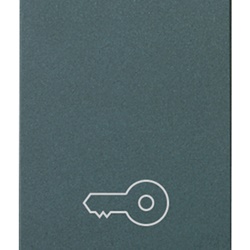 Pulsante 1P NO 10A 250V simbolo chiave grigio per comando elettrico