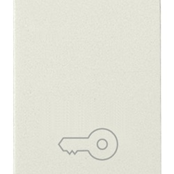 Pulsante 1P NO 10A chiave bianco Idea 