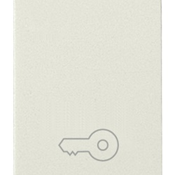 Pulsante 1P NO 10A 250V simbolo chiave bianco per comando elettrico