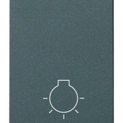 Pulsante 1P NO 10A luce simbolo grigio per impianti elettrici