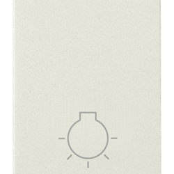 Pulsante con simbolo luce bianco 1P NO 10A Idea 