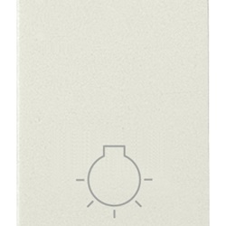 Pulsante 1P NO 10A luce bianco per impianti elettrici domestici e industriali