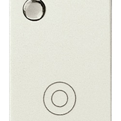 Pulsante luminoso 1PNO 10A 250V bianco segnalazione generico