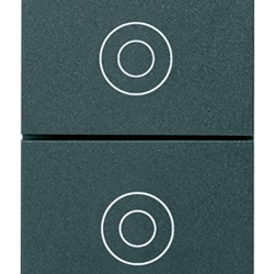Pulsanti doppio 1P NO 10A 250V grigio uso elettrico controllo semplice circuiti