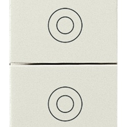 Due pulsanti 1P NO 10A bianco Idea 